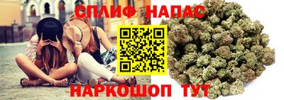 сатива Кулебаки
