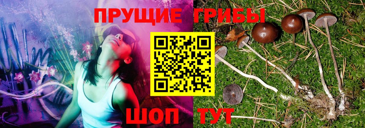 Псилоцибиновые грибы Cubensis Ульяновск